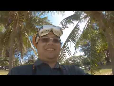 The Sun, The Sea, The Beach, The Trees (vibrant LUT)