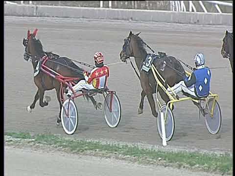 Trotto 19/01/2018 - 1ª corsa