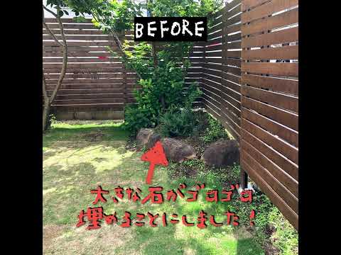  2023年9月に植える芳香ハーブ：秋にはこの5つの植物が庭に咲き誇ります  庭園