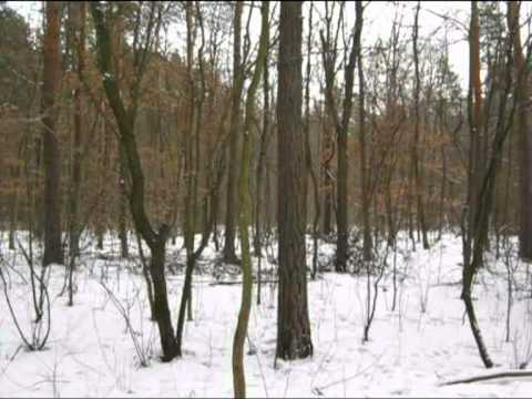 Konstancin-Jeziorna - Migawki z miasta - odc. 5 - Na Królewskiej Górze