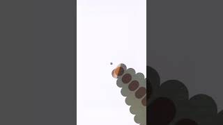 Video Triệu View || Best Oddly Satisfying #shorts P468