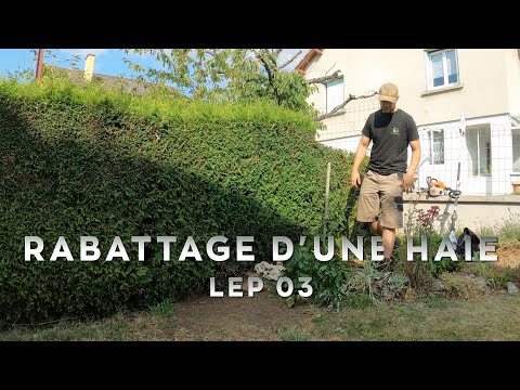 Entretien jardin particulier Lezoux