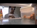 SANDWICH Wmv
