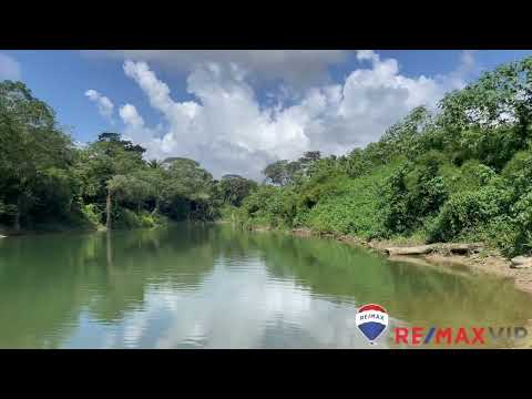 img-video