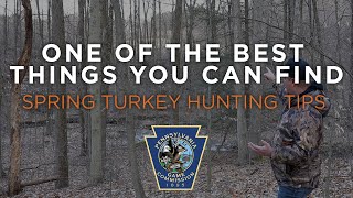 Spring Turkey Hunting Tips- One of the best things you can find.