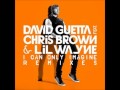 David Guetta ft. Chris Brown, Lil Wayne - I Can ...