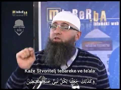 Kakva je razlika između džina i šejtana?