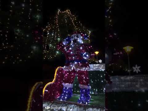 Bacau - Christmas Time | Insula de Agrement #bacau #christmas