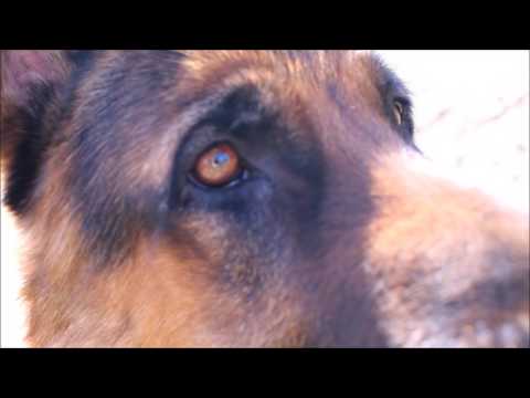 Undirheimar Mosfellsbæjar- Official trailer