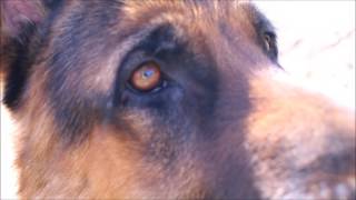 Undirheimar Mosfellsbæjar- Official trailer