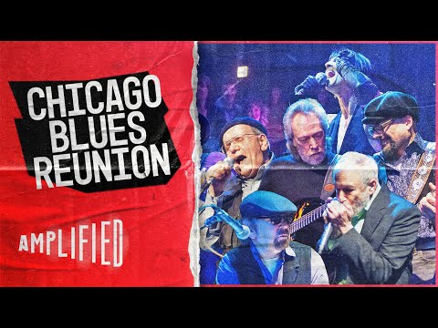 CHICAGO BLUES REUNION: Legends of Electric Blues-Rock Unite! | Amplified