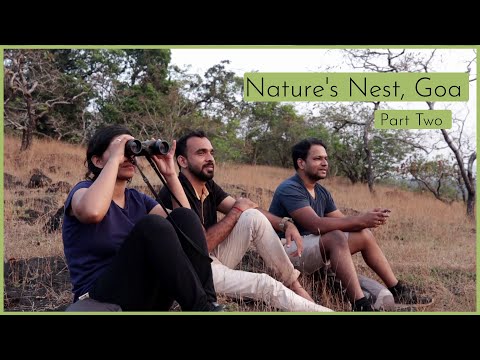 जंगलाचे अंतरंग | Nature's Nest,Goa Part 2