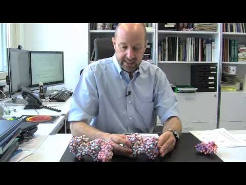 Der flexible Schweif des Prions vergiftet die Hirnzellen