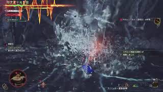 [モンハンワイルズ]歴戦王アルシュベルド❕