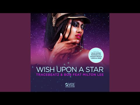 Wish Upon A Star (Lemon & Herb Mix)