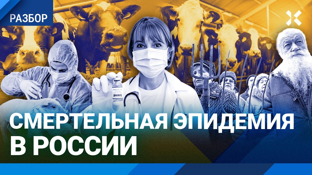Эпидемия в России: массовый забой коров. Власть молчит, люди протестуют. Кара