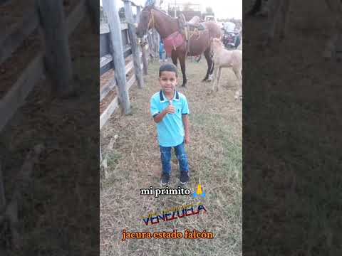 caballo prieto azabache Antonio Aguilar jacura estado falcón