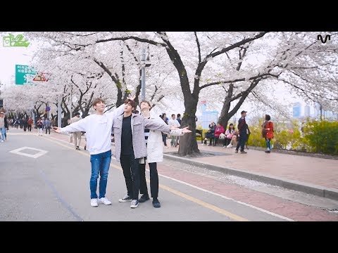 MYTEEN SHOW EP.78 - MYTODAY : 벚꽃과 함께 했나봄
