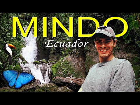 Exploring the CLOUD FORESTS of MINDO! | ECUADOR Travel Guide
