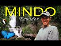 Exploring the CLOUD FORESTS of MINDO! | ECUADOR Travel Guide