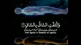Surah Al-Qiyamah Ayat : ٢٦-٣٠ with urdu transl