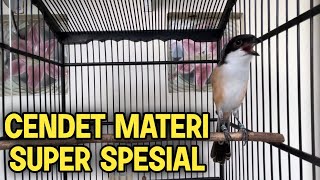 Download lagu DIJAMIN CENDET MACET LANGSUNG NYAUT !!! cendet gacor materi kekinian #cendettv mp3