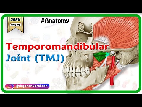 Anatomy of Temporomandibular joint ( TMJ ) Animation: Gross Anatomy medical animations