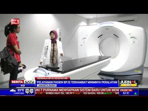 Patogen perempuan laba-laba merah Patogen gel untuk wanita