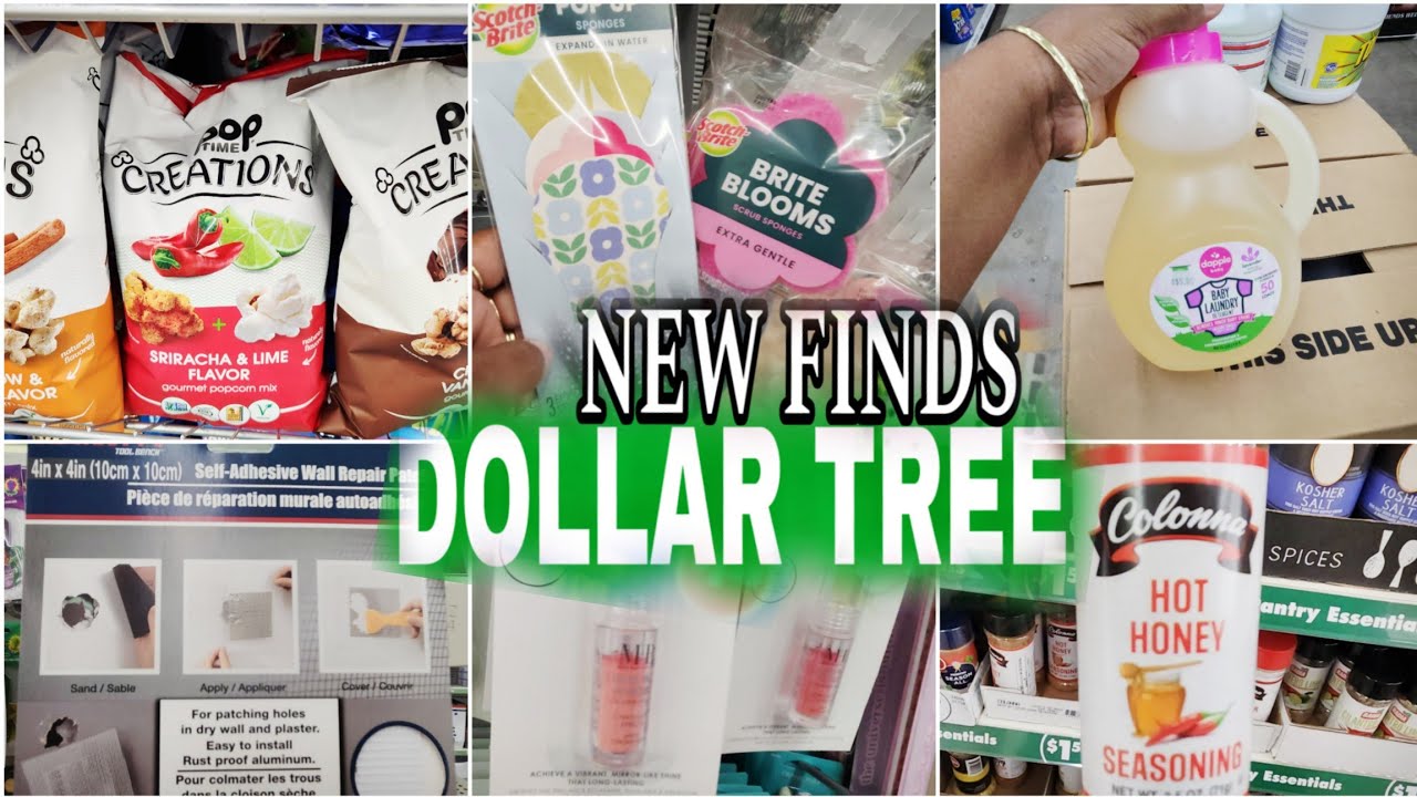 DOLLAR TREE NEW FINDS 