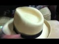 The Man in the Panama Hat