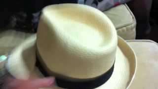 The Man in the Panama Hat