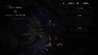 MHW　導きの地