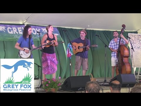 Jakob's Ferry Stragglers - Emerging Artist Showcase - Grey Fox 2016