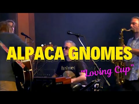 Alpaca Gnomes — Chris Strange keyboards