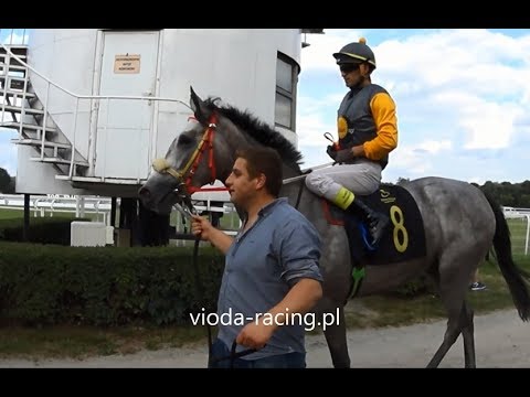 Gon. VI - 7.07.2018 - Nathan MNM (Nathaniel - Balandra)