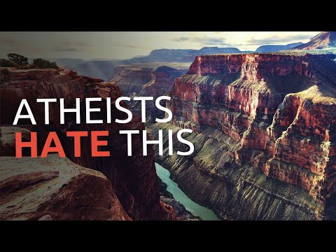 How Rock Layers & Fossils DISPROVE Evolution