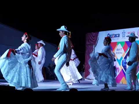 Baile de Veracruz. Jarocha. Pasos de baile Veracruzano