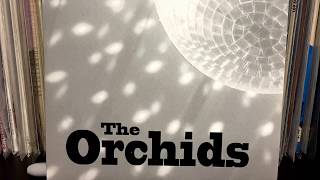 The Orchids - The Way That You Move (2013) (Audio)