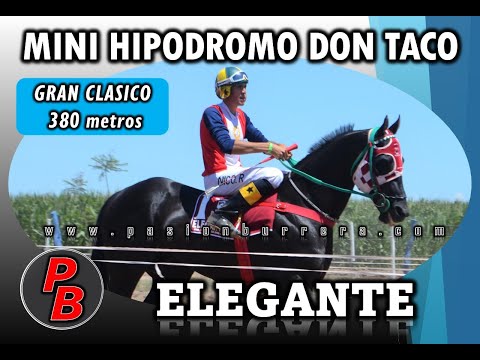 ELEGANTE: MINI HIPODROMO DON TACO - LOS CERRILLOS (11-12-2022)