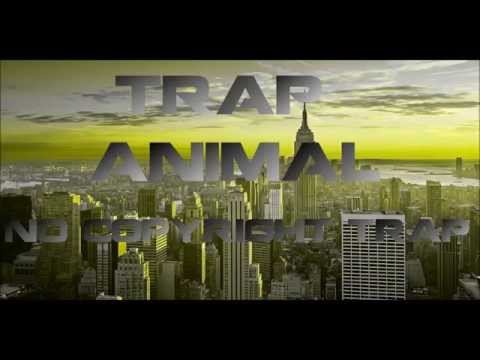 TRAPANIMAL#1