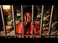 RKEMPIREE THE DUMPLING SONG OFFICIAL MUSIC VIDEO