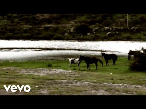 Gabriel Marchisio - Viajante (Official Video).