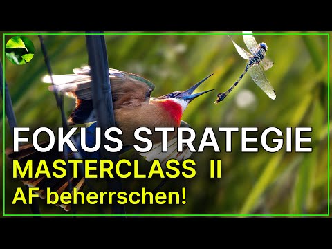 Focus on subjects faster! ALL TRICKS Instructions! MASTERCLASS Part 2