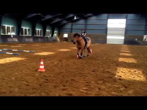 Lasse rider mini trail på Tarzan