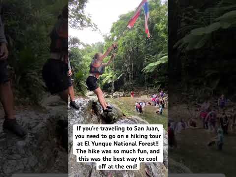 El Yunque Rainforest Tour and Waterslide Adventure! #travel #puertorico