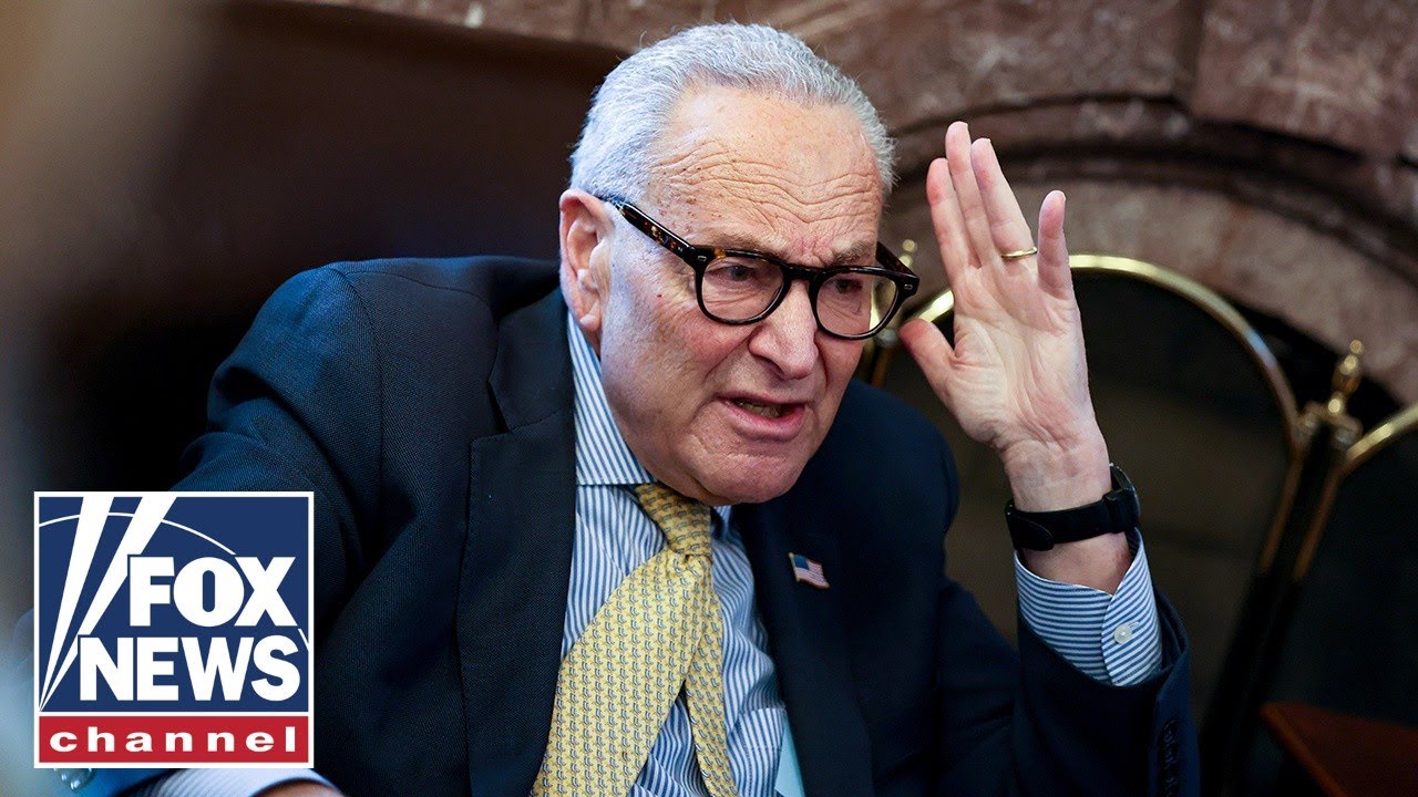 Schumer faces FURY over deal to end shutdown
