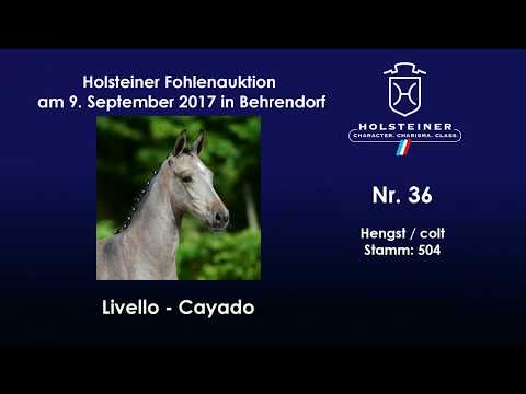 Nr. 36 v. Livello - Cayado