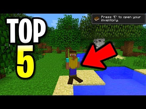 Minecon Earth Minecraft Aquatic Update Gameplay Dolphins 