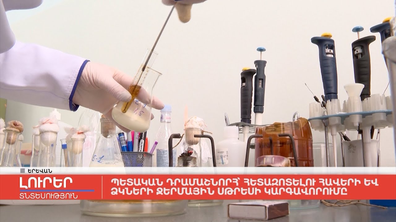 Պետական դրամաշնորհ՝ հետազոտելու հավերի և ձկների ջերմային սթրեսի կարգավորումը