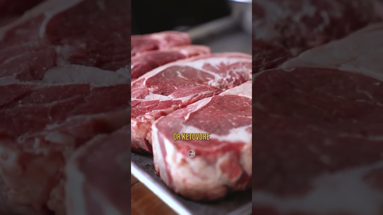 Pancreatitis and the Carnivore Diet 👉